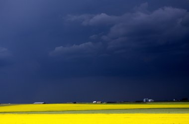 Prairie fırtına bulutları