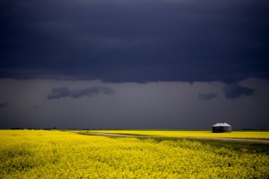 Prairie fırtına bulutları