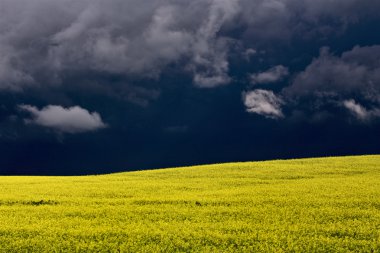 Prairie fırtına bulutları