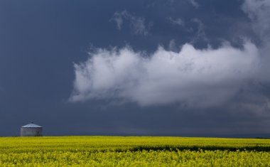 Prairie fırtına bulutları