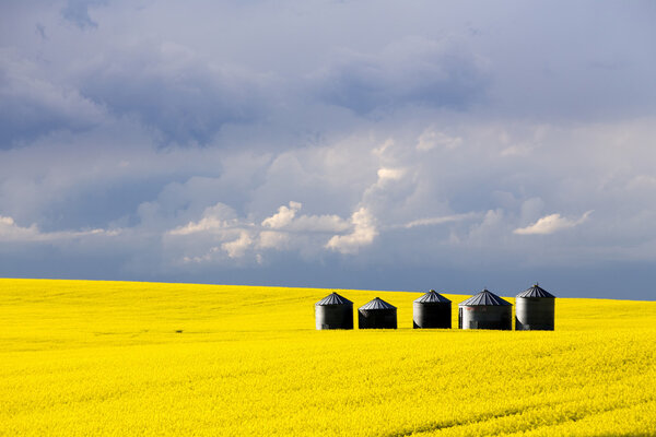 Prairie Storm Clouds
