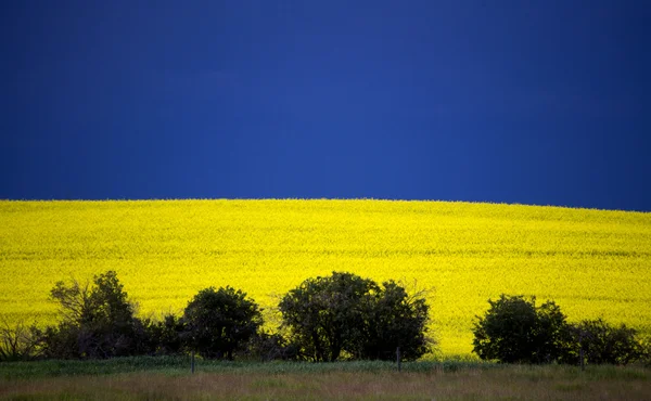 Nuvens de tempestade de pradaria — Fotografia de Stock