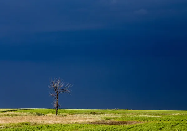 草原あらし雲 — ストック写真