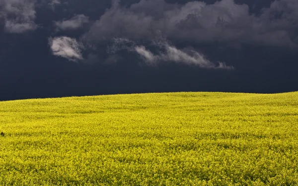 Nuages de tempête des Prairies — Photo