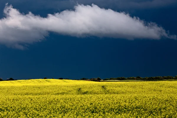 Nuvole tempesta prateria — Foto Stock