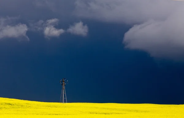 Nubes de tormenta de pradera —  Fotos de Stock