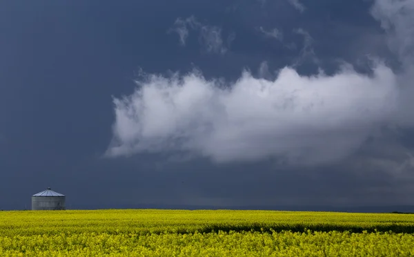 Nuvole tempesta prateria — Foto Stock