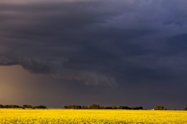 Prairie fırtına bulutları