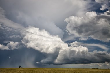 Prairie fırtına bulutları
