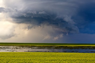 Prairie fırtına bulutları