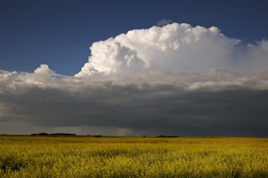 Prairie fırtına bulutları