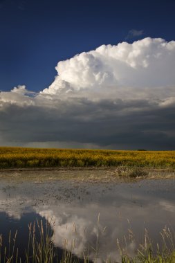 Prairie fırtına bulutları