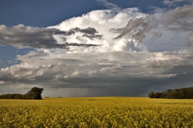 Prairie fırtına bulutları