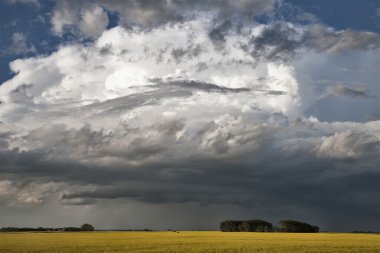 Prairie fırtına bulutları
