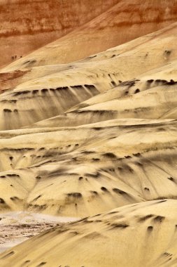 Hills oregon boyalı