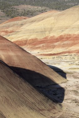 Hills oregon boyalı