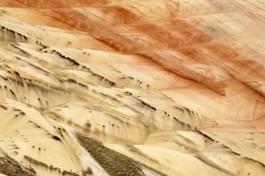 Hills oregon boyalı