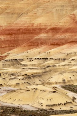 Hills oregon boyalı