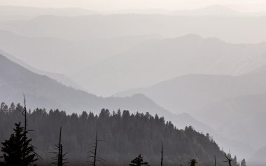 Yosemite Ulusal Parkı