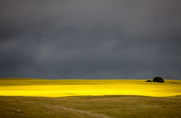 Nubes de tormenta de pradera —  Fotos de Stock