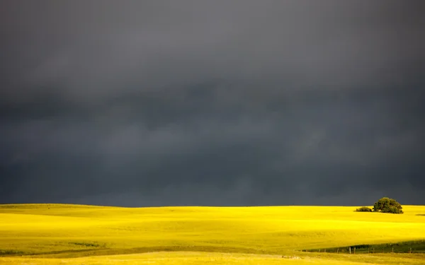 草原あらし雲 — ストック写真