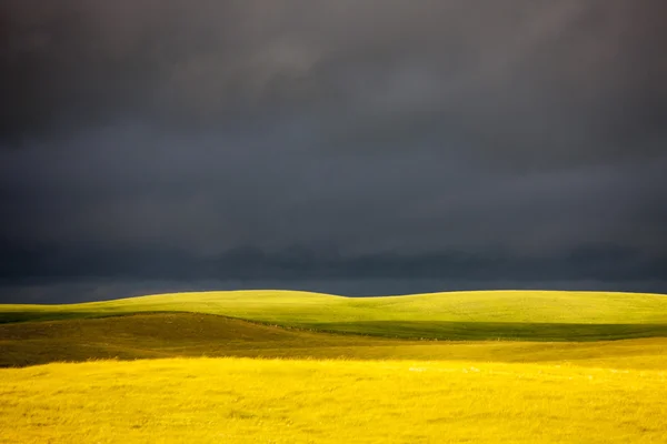 Nubes de tormenta de pradera — Foto de Stock