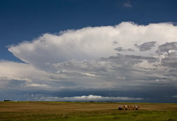 Nubes de tormenta de pradera — Foto de Stock