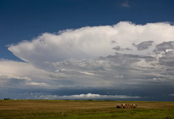 Nuvens de tempestade de pradaria — Fotografia de Stock