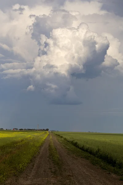 Prairie fırtına bulutları — Stok fotoğraf