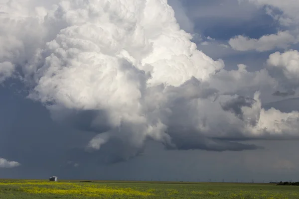 Prairie molnen — Stockfoto