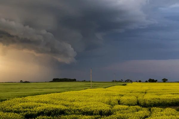 Awan Badai Padang Pasir — Stok Foto