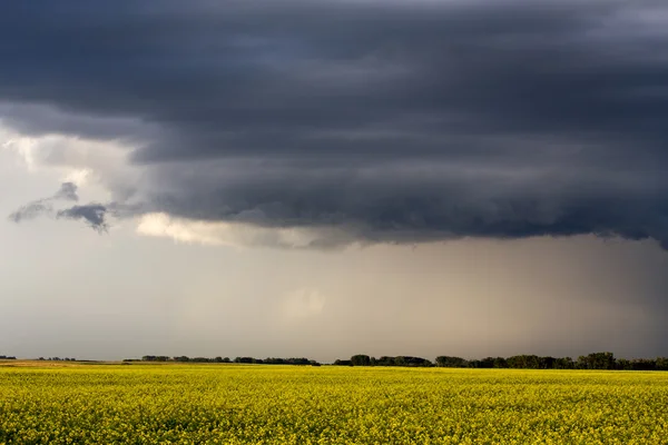 Prairie storm wolken — Stockfoto