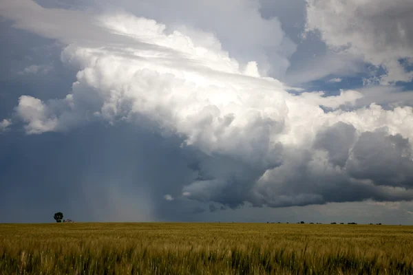 Nuages de tempête des Prairies — Photo