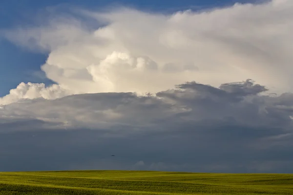草原あらし雲 — ストック写真