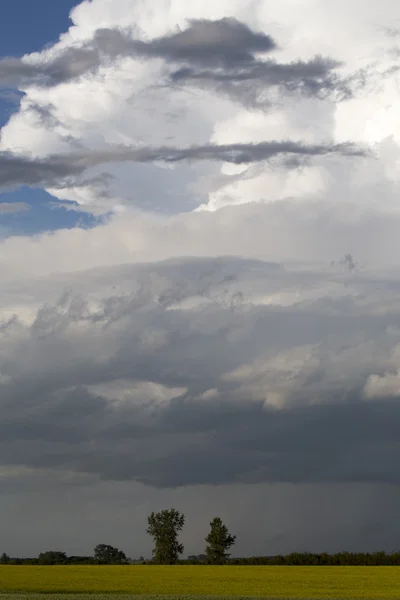 Nuvens de tempestade de pradaria — Fotografia de Stock