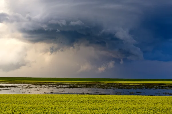 Prairie fırtına bulutları