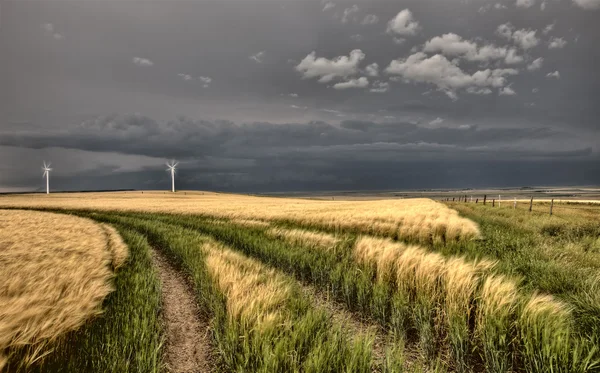 Prairie molnen — Stockfoto