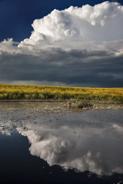 Nubes de tormenta de pradera — Foto de Stock