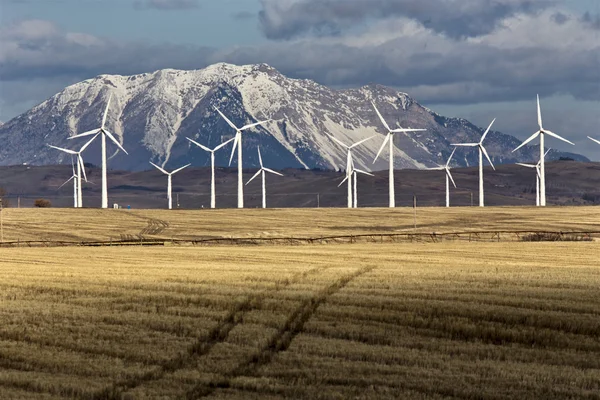 Wind farm Kanada — Stockfoto