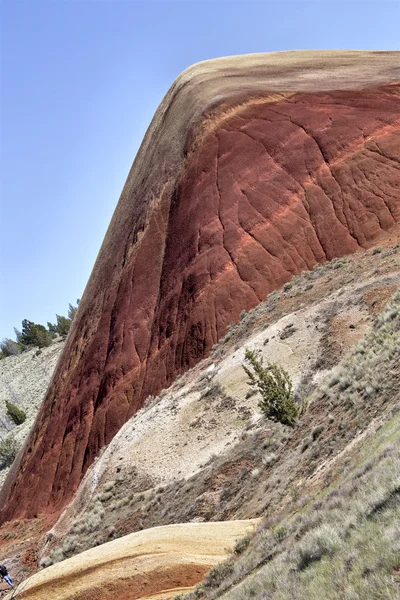 オレゴン州の丘の塗装 — ストック写真