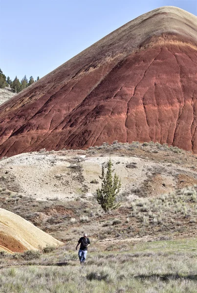 オレゴン州の丘の塗装 — ストック写真