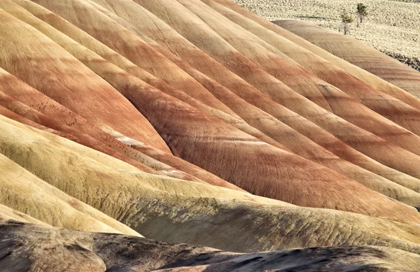 Malované hory oregon — Stock fotografie