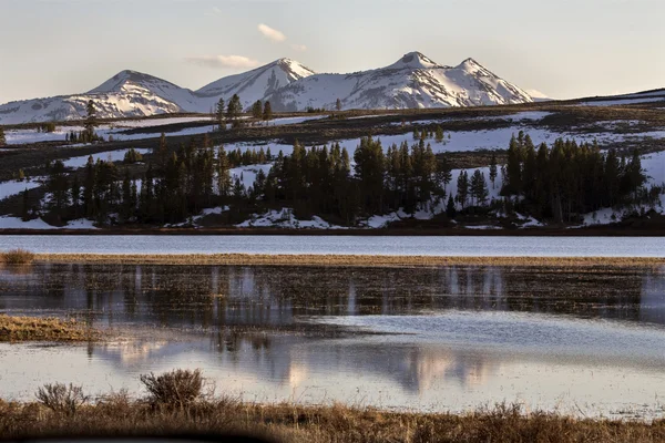 Parque Nacional de Yellowstone — Foto de Stock