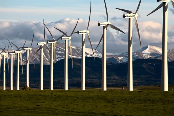Rüzgar Çiftliği Kanada — Stok fotoğraf
