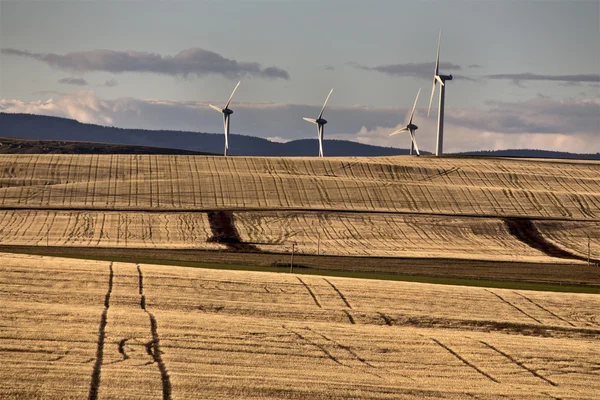 Windpark Kanada — Stockfoto