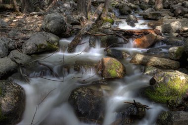 Yosemite Ulusal Parkı