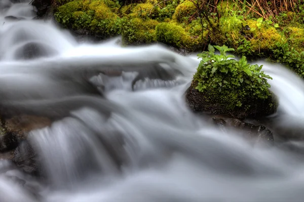 Gola del fiume Columbia Oregon — Foto Stock