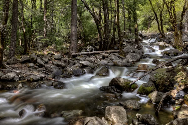 Parque Nacional de Yosemite — Fotografia de Stock