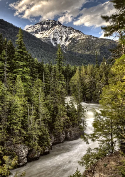 Parc national des Glaciers Majestueux — Photo