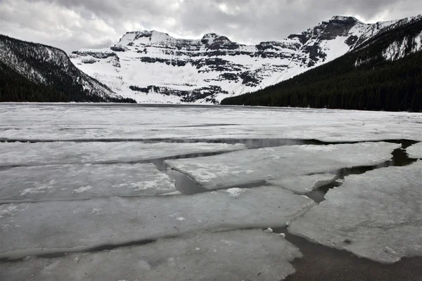 Cameron lake in de winter — Stockfoto